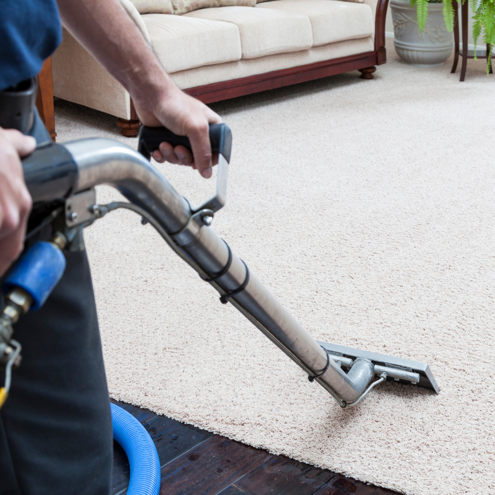 Dr Carpet Elites Professional Carpet Cleaning Service